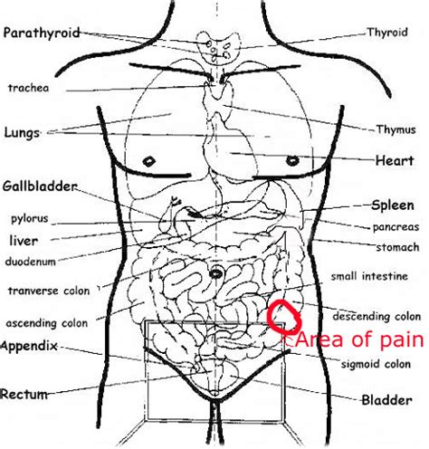 Pain in the left side of your belly (abdomen) is a common symptom and could indicate a variety of conditions. pain in left side colon (Ask Dr. Sutter) 1/1/2008 1075163