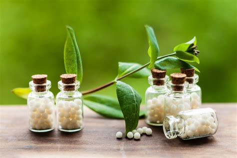 A Beginners Guide To Homeopathy