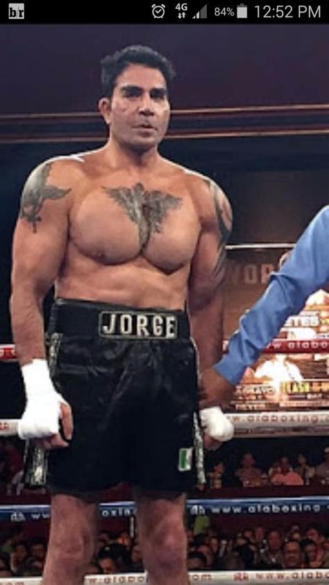 El R Cord De Nocauts Que Tiene Jorge Kahwagi En El Boxeo