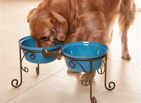 We did not find results for: Sparks Elevated Dog Bowl and Pet Stand *** More info could ...