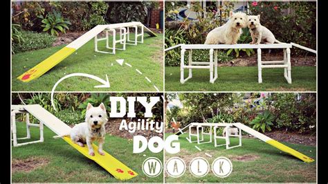 How To How To Diy Agility Dog Walk Thedogblog Dog Agility Course