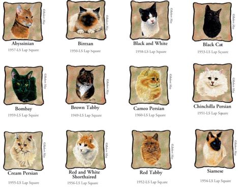 Cat Breeds With Pictures And Names Cats Capture