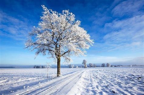 Maybe you would like to learn more about one of these? Hiver