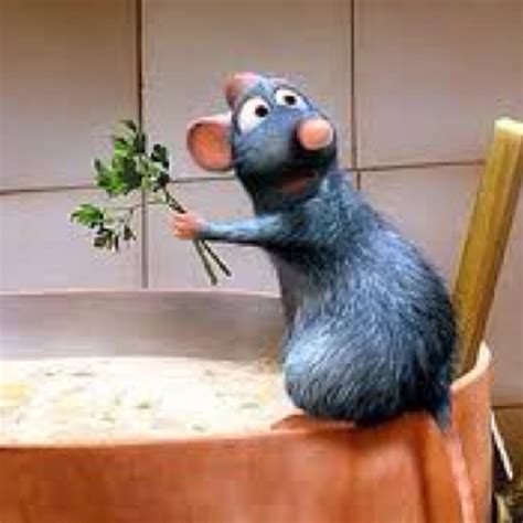 134 Best Images About Disney S Ratatouille On Pinterest Disney