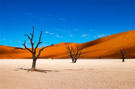 Namibia Highlights Beste Reisezeit And Die Schönsten Bilder Hello Planet
