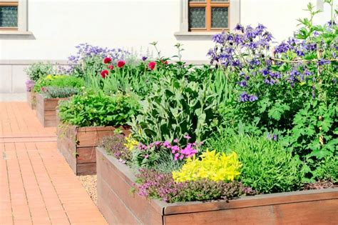 Pretty Edible Landscaping Ideas For Your Summer Garden Taste Of Home