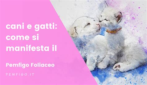 La stessa reazione, associata a trombi cerebrali, osservata dall'aifa in una. Cani e gatti: come si manifesta il Pemfigo Foliaceo ...