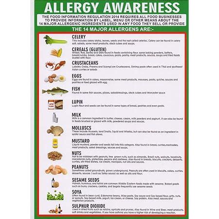 Food Allergy Awareness Sign A List Mm X Mm Laminated G