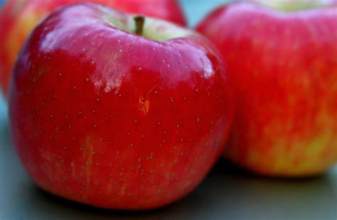 However, what is quora for if not for us to provide our subjective opinions? apples | Apples have a short season in my year. I adore ...
