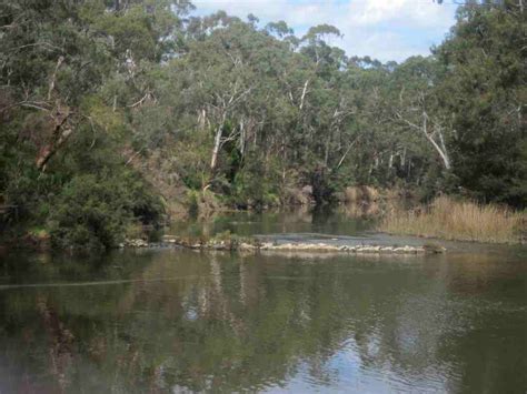 Warrandyte is a suburb in yarra valley, 23 km east of melbourne. TRACKS, TRAILS AND COASTS NEAR MELBOURNE : Koornong Hike ...