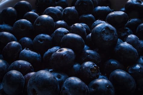 Free Images Bilberry Natural Foods Superfood Fruit Blue
