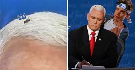 Fly Lands On Mike Pence S Head During Vp Debate And Twitter Runs With It