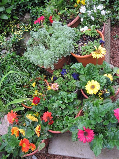 Container Gardens In Our Yard Container Gardening Plants Garden