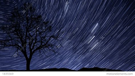 4k Uhd Night Sky Stars Tree Time Lapse Star Trail Stock Video Footage
