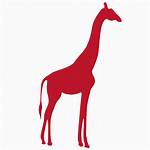 Giraffe Icon Animal Icons