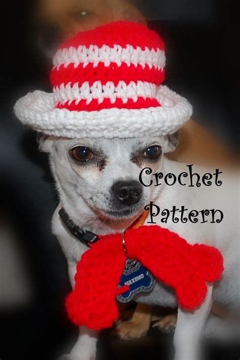Cat Um Dog In The Hat Crochet Pattern Crochet