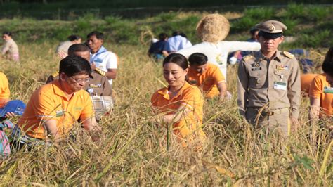 พระองค์ภาฯทรงพระดำเนินเปิดการแข่งขันกีฬาเทเบิลเทนนิสbbg princess cup 2018 สมาชิกวง bnk48 เฝ้าฯรับเสด็จ 'พระองค์ภาฯ' ทรงลงแขกเกี่ยวข้าว ศูนย์เรียนรู้ป่าวังจันทร์