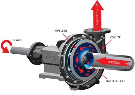 How Does A Centrifugal Pump Work 2023 Guide Growing Magazine