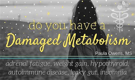 Do You Have A Damaged Metabolism Paula Owens Ms