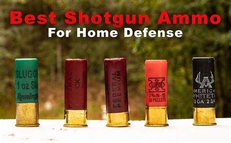 The Best Shotgun Ammo For Home Defense The Lodge At My XXX Hot Girl