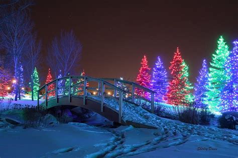 Spruce Meadows Christmas Lights Winter Wonderland