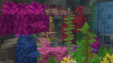 Axolotl Aquarium Rminecraft