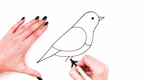How To Draw A Bird Step By Step Bird Drawing Easy Super Easy