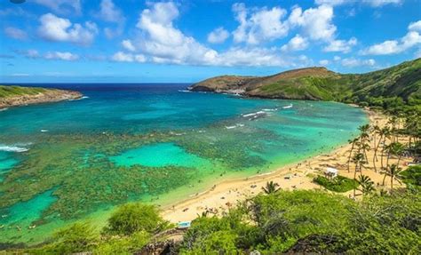 Hanauma Bay Nature Preserve Honolulu 2022 What To Know Before You Go