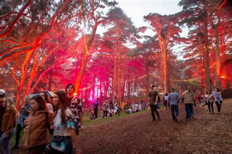 Navigating Outside Lands 2021 An Hour By Hour Guide For All 3 Days