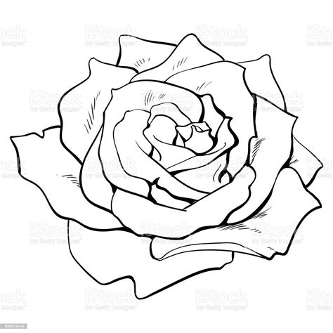 Https://techalive.net/draw/how To Draw The Top Of A Rose