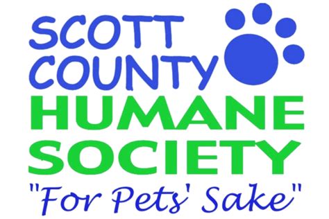 Find Your Perfect Pet: Adopt Dogs, Cats & More