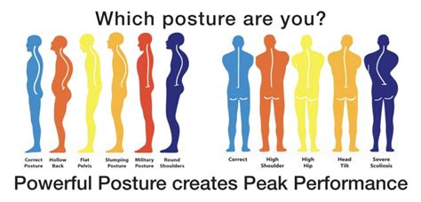 5 Ways To Build Better Posture Back On Track 2 Wellness Dr Todd W