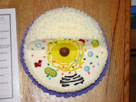 Animal Cell Cake For Science Project This Is A Cake Made For A