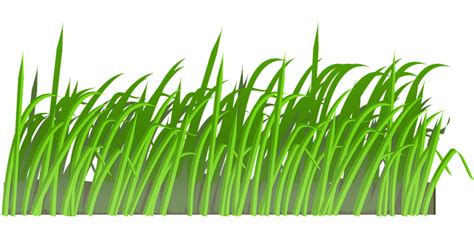 Grass Lawn Green Free Vector Graphic On Pixabay