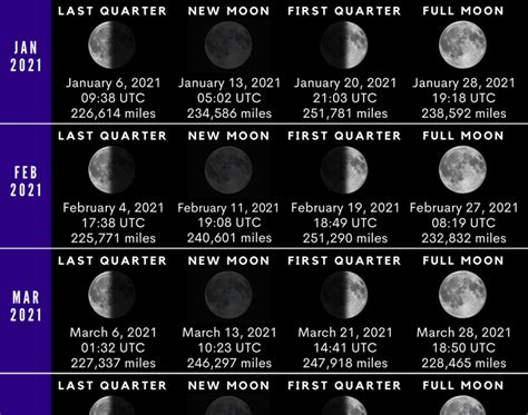 Moon Planting Calendar 2022 November 2022 Calendar