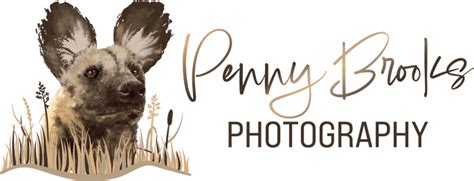 Penny Brooks Photography Dog Shows Page