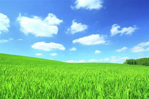 Green Field And White Clouds On Blue Sky Photograph By Konradlew Fine