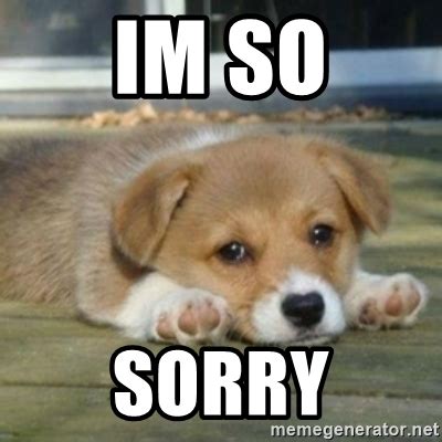 In fact, your healthcare provider can spot spontaneous fetal movements, like baby. im so sorry - sad puppy face | Meme Generator