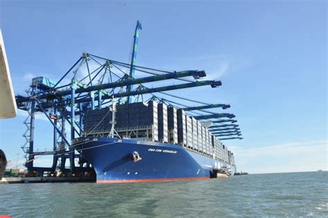 Port klang's cruise terminal, which serves the country's capital of kuala lumpur, is located on pulau indah and is operated by port klang cruise center. CMA CGM and COSCO Shipping Strengthen Port Partnership ...