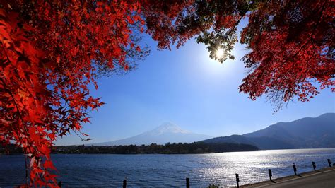 Wallpaper Japan Mount Fuji Red Leaves Fence Road Sun Daylight
