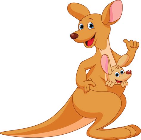 Download Kangaroo Pouch Kangaroo Clipart Png Clipartkey