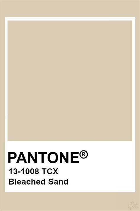 Love This Neutral Pantone Colour Palettes Pantone Color Pantone