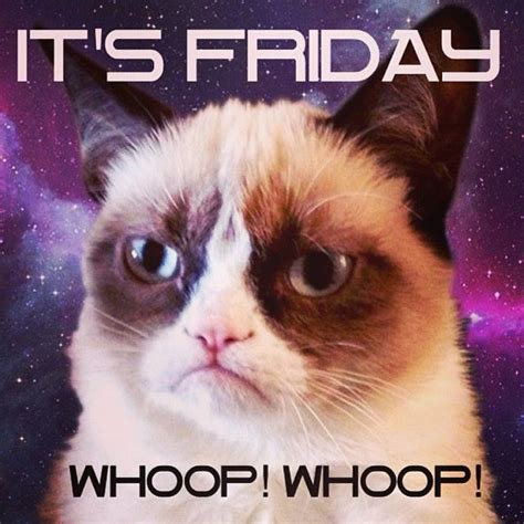 Its Already Friday No Way Grumpycat Cat Meme Landofmemes Friday