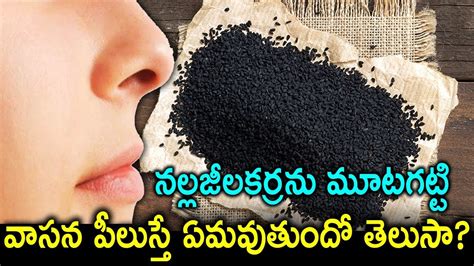 Black seed seems to be safe in food amounts during pregnancy. Black Cumin Seeds or Jeera Uses and Health Benefits in ...