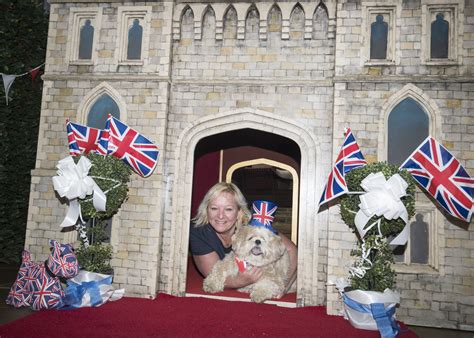 New born of harry and meghan, loves a laugh!! This woman bought her dog a £5,000 'Windsor Castle' kennel