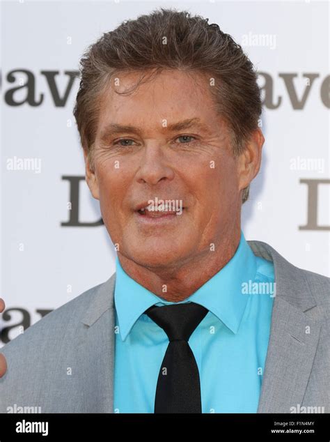 David Hasselhoff The Hoff High Resolution Stock Photography And Images