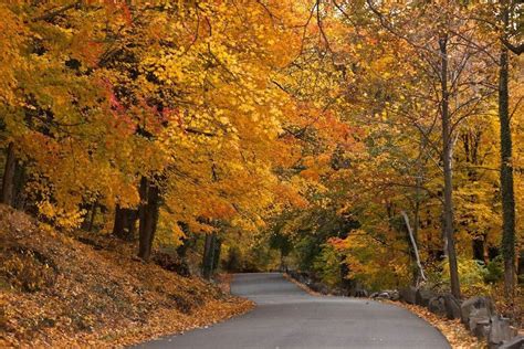50 Photos That Prove Autumn Is The Prettiest Season In Every State Fall Foliage Road Trips
