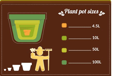 Details on the measurements of the inside and outside of standard iso steel shipping containers. Plant Pot Sizes: The Complete Guide - Primrose Blog
