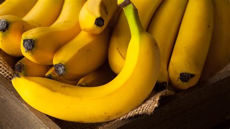 Bananas On The Brink Fruit Faces Extinction Risk Fox News