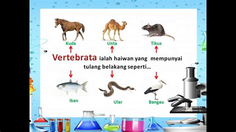 Sains Tahun Haiwan Vertebrata Dan Invertebrata Youtube